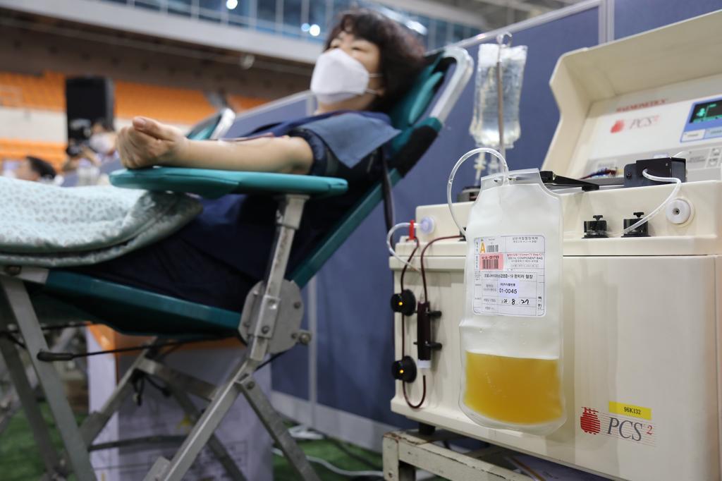 shincheonji plasma 3 Salvare vite donando il plasma: perché le buone azioni di Shincheonji vengono ignorate?